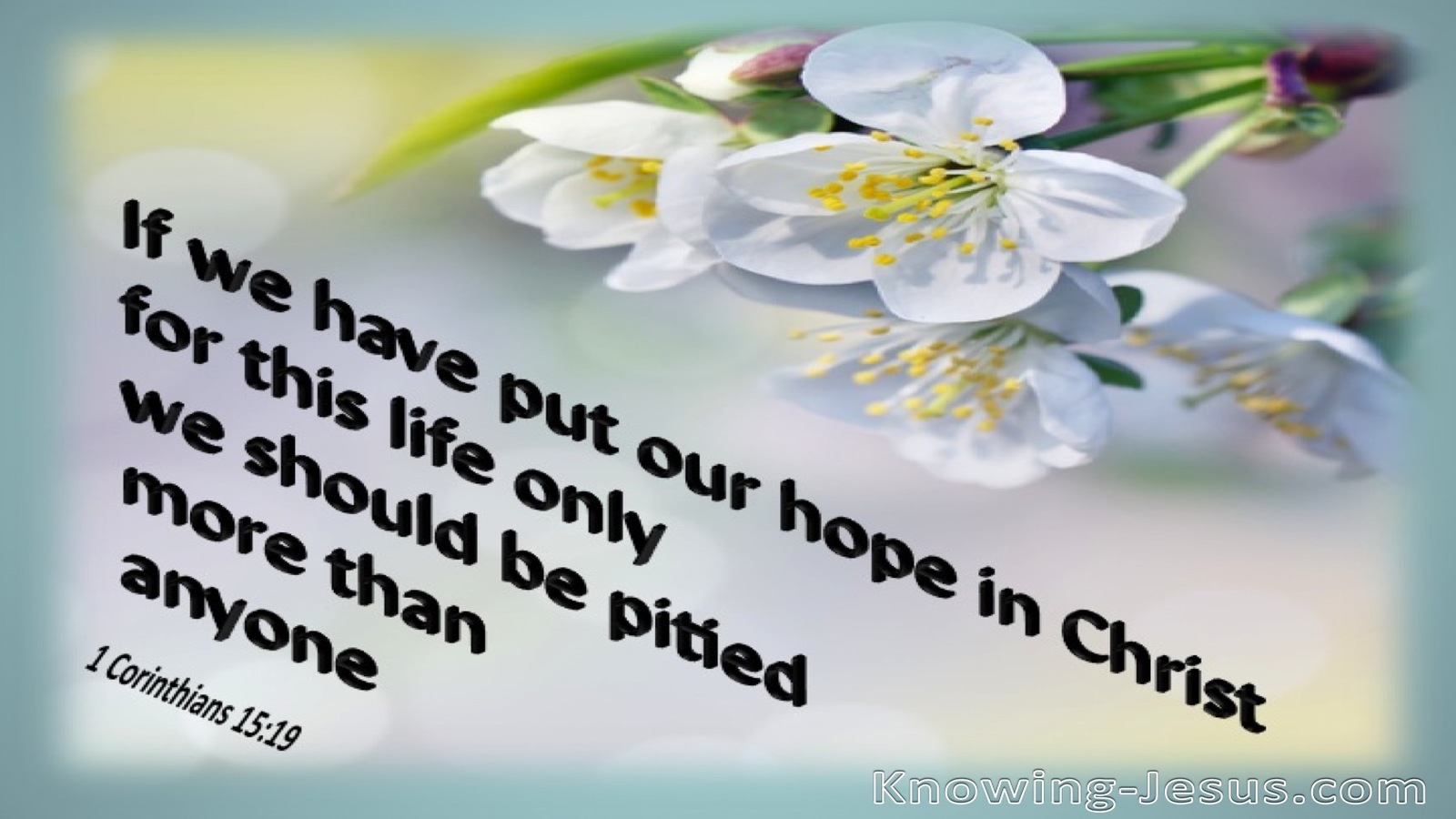 1 Corinthians 15:19 Hope In Christ (aqua)